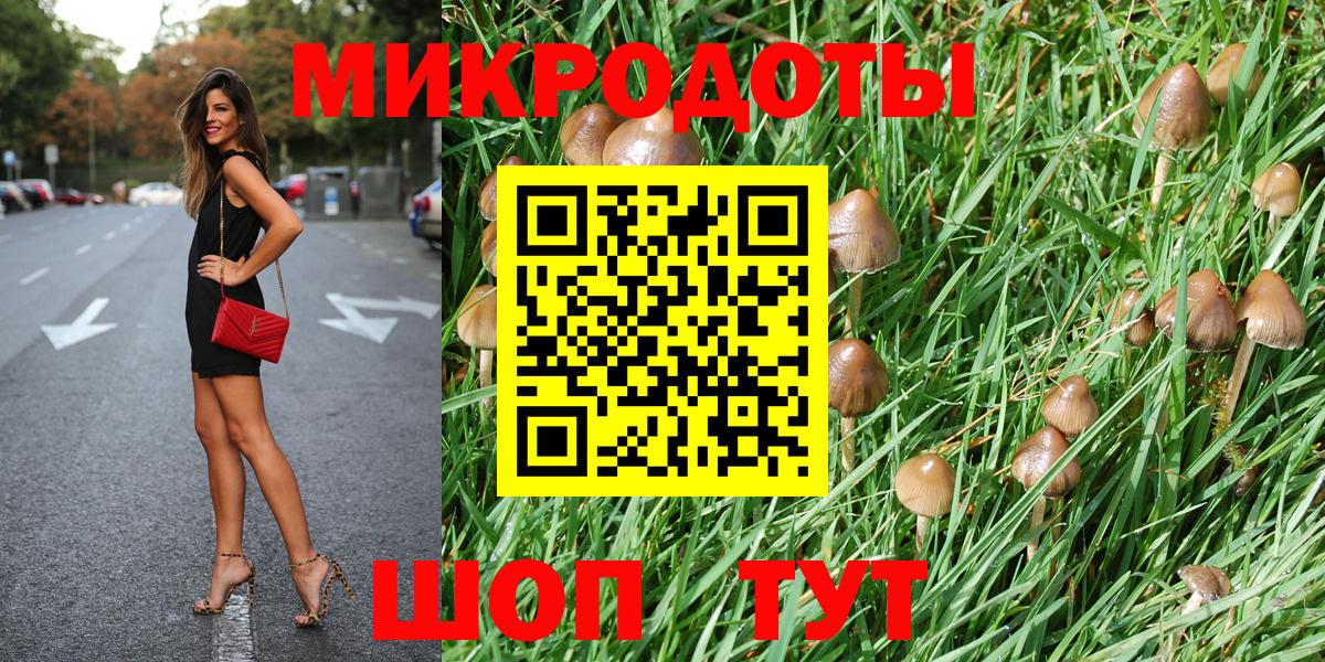 Галлюциногенные грибы MAGIC MUSHROOMS Семёнов