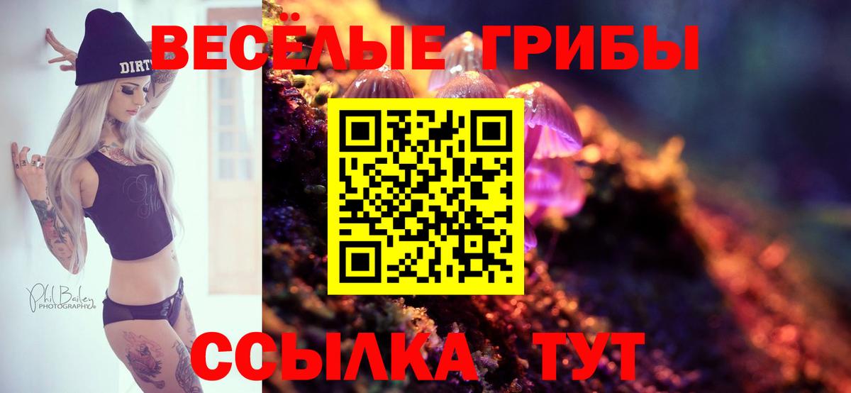 Семёнов  Галлюциногенные грибы ЛСД  Вход с VPN 